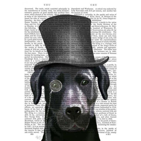 Black Labrador, Formal Hound and Hat White Modern Wood Framed Art Print by Fab Funky