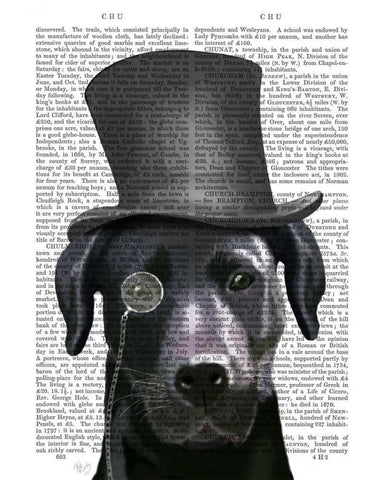 Black Labrador, Formal Hound and Hat Black Ornate Wood Framed Art Print with Double Matting by Fab Funky