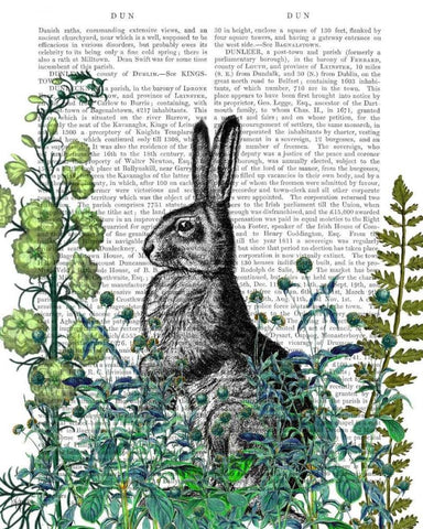 Rabbit in The Garden White Modern Wood Framed Art Print with Double Matting by Fab Funky