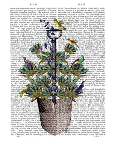 Garden Spade and Birds White Modern Wood Framed Art Print with Double Matting by Fab Funky