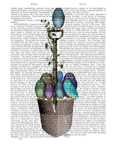 Garden Spade and Owls Black Ornate Wood Framed Art Print with Double Matting by Fab Funky