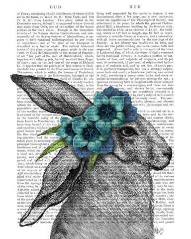 Rabbit, Blue Flower Headdress Black Ornate Wood Framed Art Print with Double Matting by Fab Funky