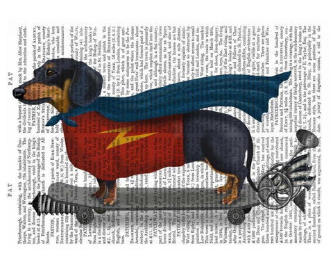 Dachshund On Skateboard White Modern Wood Framed Art Print with Double Matting by Fab Funky