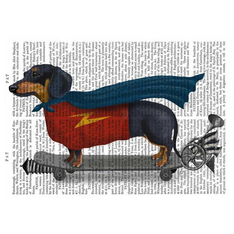 Dachshund On Skateboard Gold Ornate Wood Framed Art Print with Double Matting by Fab Funky