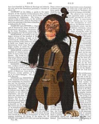 Chimp Playing Cello White Modern Wood Framed Art Print with Double Matting by Fab Funky