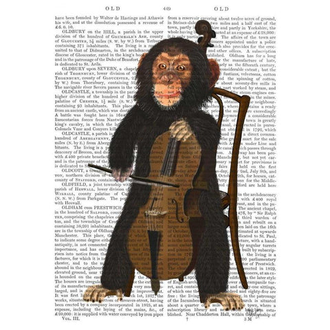 Chimp Playing Cello Black Modern Wood Framed Art Print with Double Matting by Fab Funky