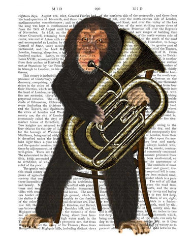 Chimp Playing Tuba White Modern Wood Framed Art Print with Double Matting by Fab Funky