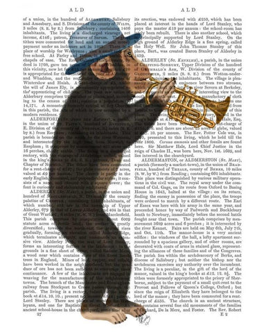 Monkey Playing Trumpet with Blue Hat White Modern Wood Framed Art Print with Double Matting by Fab Funky