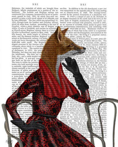 Fox with Red Scarf Black Ornate Wood Framed Art Print with Double Matting by Fab Funky