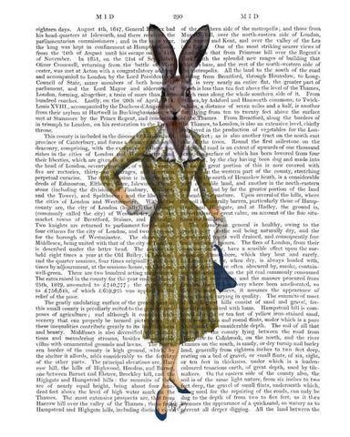 Rabbit In Mustard Dress White Modern Wood Framed Art Print with Double Matting by Fab Funky