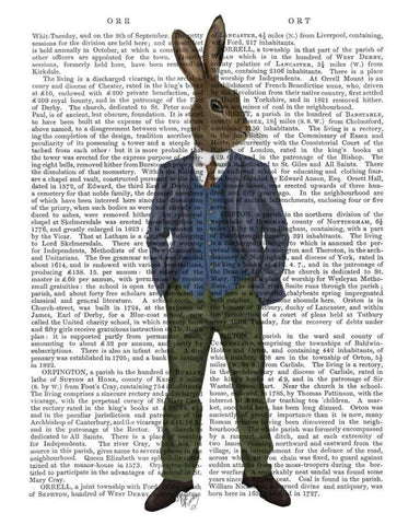 Rabbit in Blue Waistcoat White Modern Wood Framed Art Print with Double Matting by Fab Funky