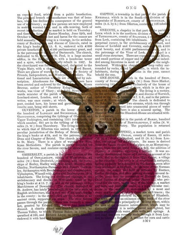 Deer with Fan, Portrait White Modern Wood Framed Art Print with Double Matting by Fab Funky