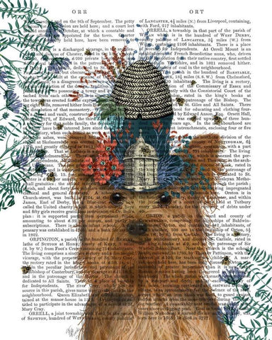 Yorkshire Terrier Milliners Dog White Modern Wood Framed Art Print with Double Matting by Fab Funky