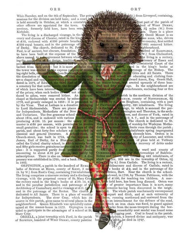 Hedgehog Minstrel White Modern Wood Framed Art Print with Double Matting by Fab Funky