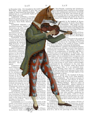 Fox Minstrel White Modern Wood Framed Art Print with Double Matting by Fab Funky