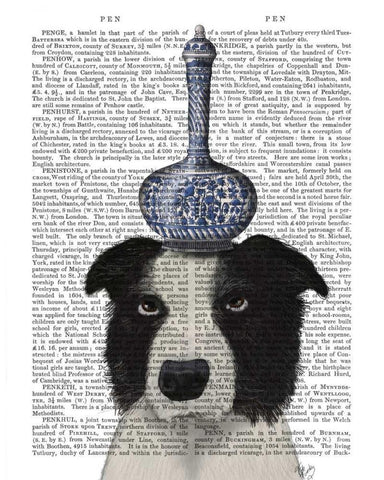 Border Collie with Blue Vase White Modern Wood Framed Art Print with Double Matting by Fab Funky