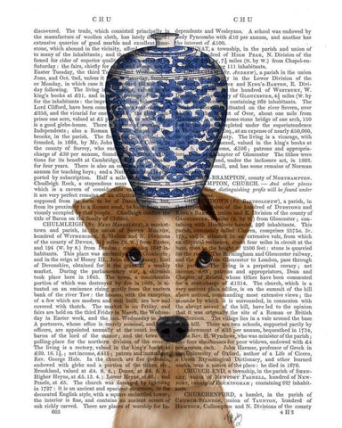 Fox Terrier with Blue Vase Black Ornate Wood Framed Art Print with Double Matting by Fab Funky