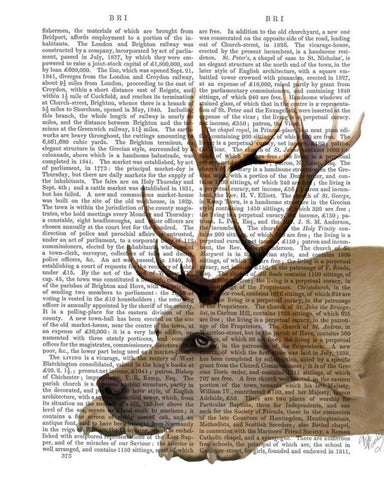 Labrador with Antlers White Modern Wood Framed Art Print with Double Matting by Fab Funky