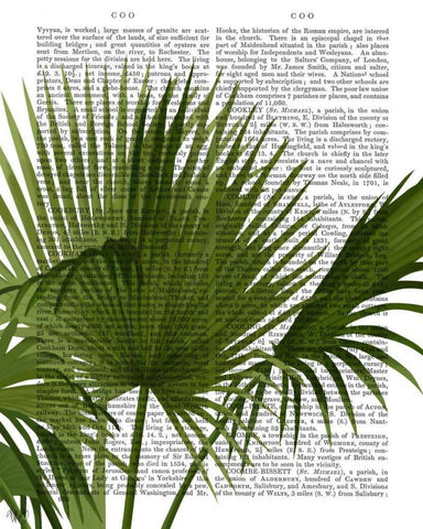 Fan Palm 1, Green on White White Modern Wood Framed Art Print with Double Matting by Fab Funky