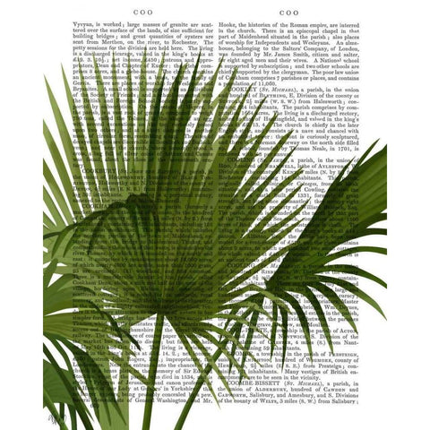 Fan Palm 1, Green on White White Modern Wood Framed Art Print by Fab Funky