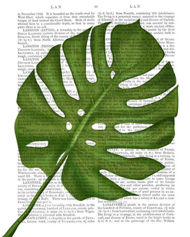 Monstera Leaf 1, Green on White Black Ornate Wood Framed Art Print with Double Matting by Fab Funky