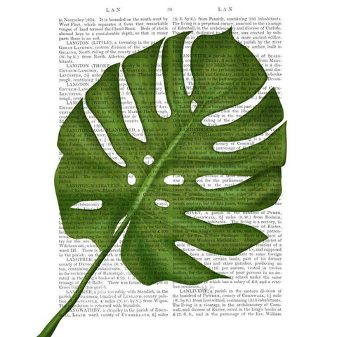 Monstera Leaf 1, Green on White White Modern Wood Framed Art Print by Fab Funky