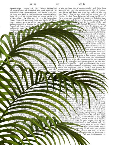 Palm Leaf 1, Green On White Black Ornate Wood Framed Art Print with Double Matting by Fab Funky