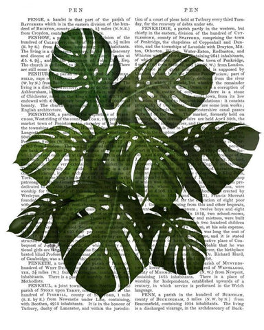 Monstera Plant, Green on White White Modern Wood Framed Art Print with Double Matting by Fab Funky