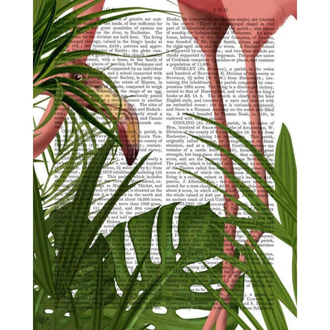 Flamingo Peering Black Modern Wood Framed Art Print with Double Matting by Fab Funky