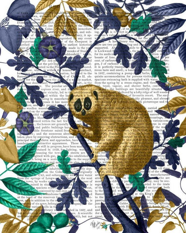 Slow Loris, Gold Black Ornate Wood Framed Art Print with Double Matting by Fab Funky