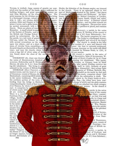 Military Rabbit in Red Black Ornate Wood Framed Art Print with Double Matting by Fab Funky