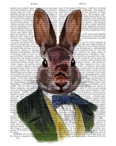 Rabbit in Green Jacket Black Ornate Wood Framed Art Print with Double Matting by Fab Funky