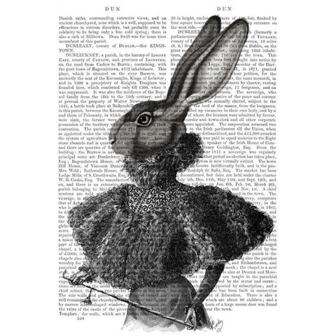 Rabbit with Feather Collar Gold Ornate Wood Framed Art Print with Double Matting by Fab Funky