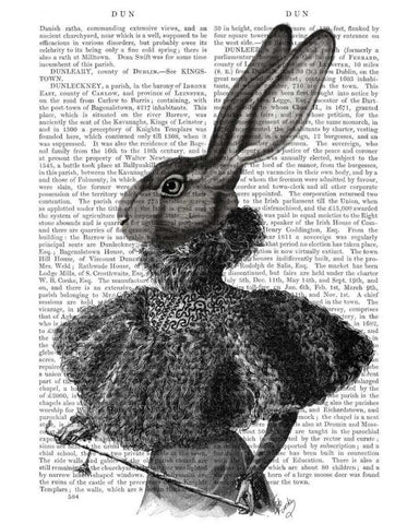 Rabbit with Feather Collar White Modern Wood Framed Art Print with Double Matting by Fab Funky