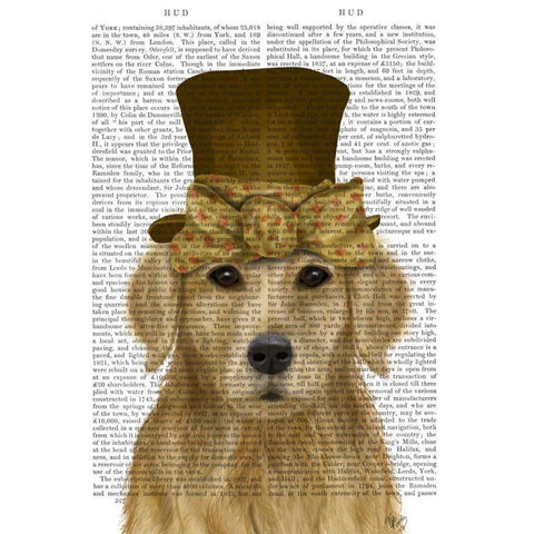 Golden Retriever, Hat and Bow Black Modern Wood Framed Art Print with Double Matting by Fab Funky