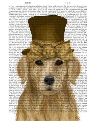 Golden Retriever, Hat and Bow White Modern Wood Framed Art Print with Double Matting by Fab Funky