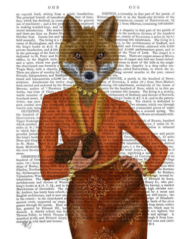 Fox in Orange, Portrait White Modern Wood Framed Art Print with Double Matting by Fab Funky