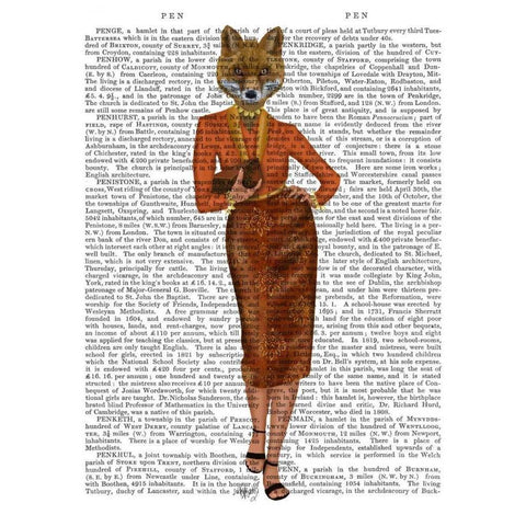 Fox in Orange, Full Black Modern Wood Framed Art Print with Double Matting by Fab Funky