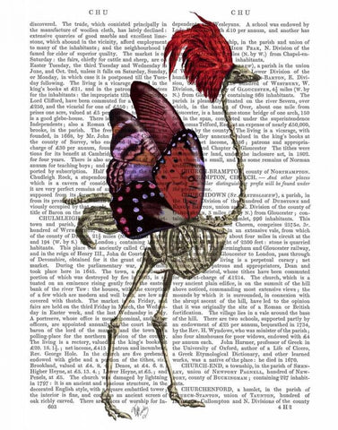 Ostrich Skeleton White Modern Wood Framed Art Print with Double Matting by Fab Funky