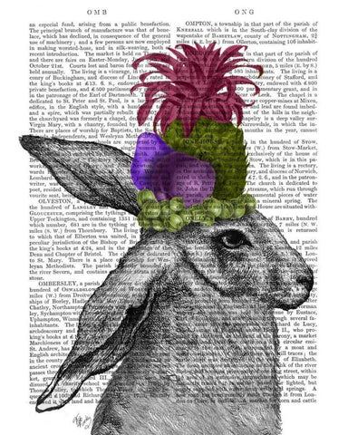 Rabbit, Fruit Headdress White Modern Wood Framed Art Print with Double Matting by Fab Funky