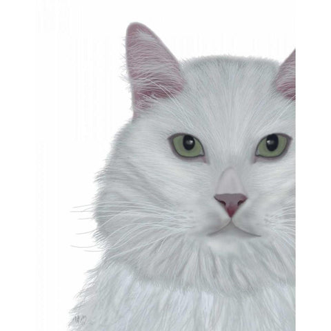 Cat, White Portrait on White Black Modern Wood Framed Art Print with Double Matting by Fab Funky