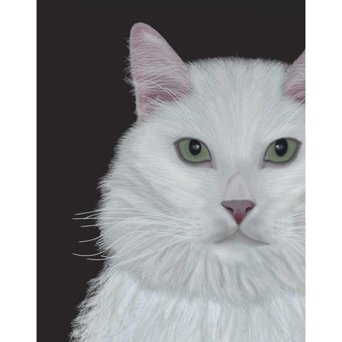 Cat, White Portrait on Dark Grey White Modern Wood Framed Art Print by Fab Funky