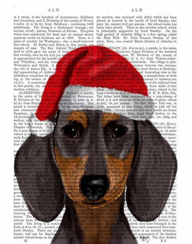 Dachshund White Modern Wood Framed Art Print with Double Matting by Fab Funky