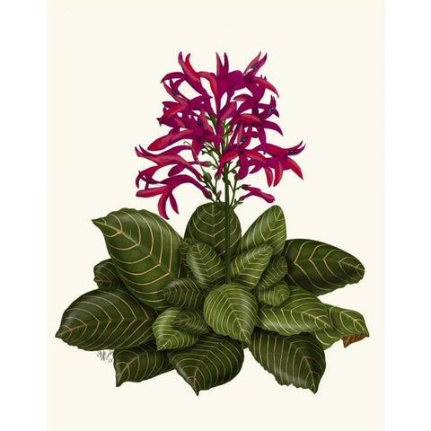 Tropical Flower 1 Gold Ornate Wood Framed Art Print with Double Matting by Fab Funky