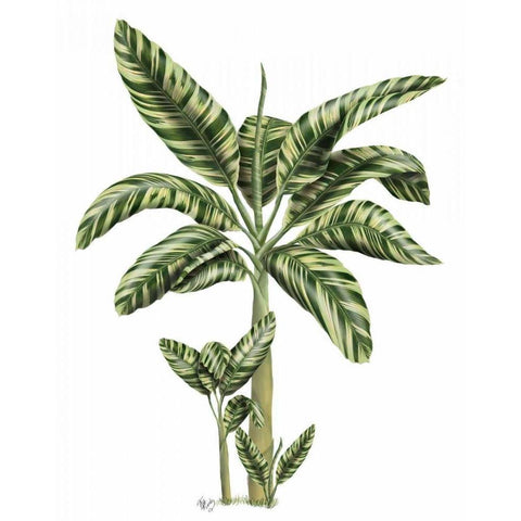 Banana Tree 2 Gold Ornate Wood Framed Art Print with Double Matting by Fab Funky