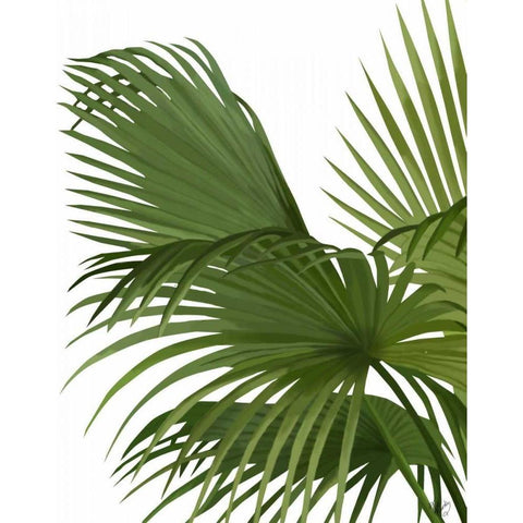 Fan Palm 2, Green on White Black Modern Wood Framed Art Print by Fab Funky