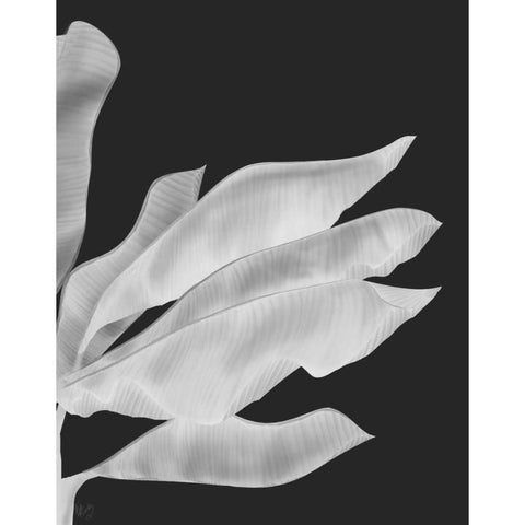 Banana Leaves 1, White On Black Black Modern Wood Framed Art Print with Double Matting by Fab Funky