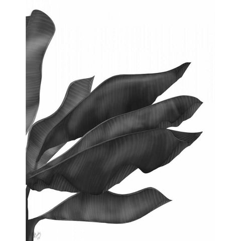 Banana Leaves 1, Black on White Black Modern Wood Framed Art Print with Double Matting by Fab Funky