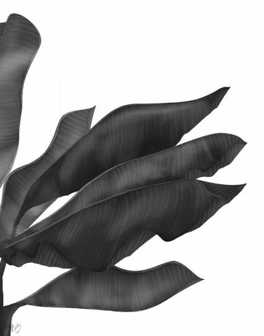 Banana Leaves 1, Black on White Black Ornate Wood Framed Art Print with Double Matting by Fab Funky