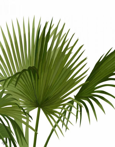 Fan Palm 1, Green on White Black Ornate Wood Framed Art Print with Double Matting by Fab Funky